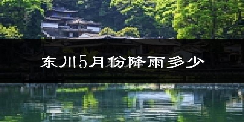 东川5月份降雨多少?