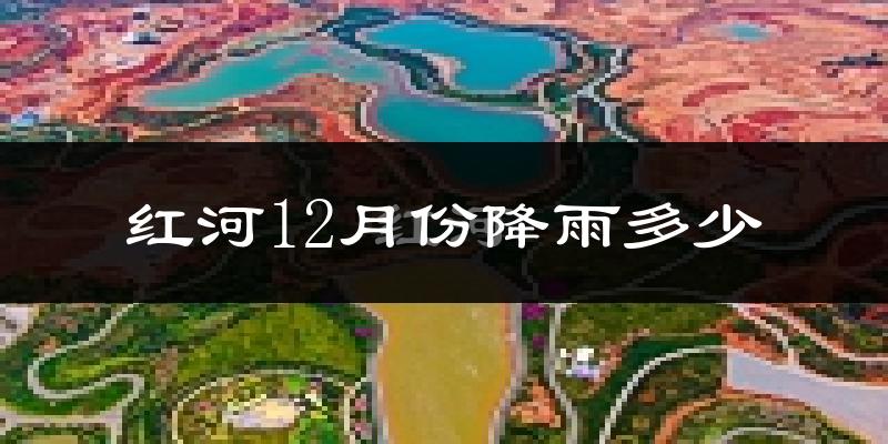 红河12月份降雨多少?