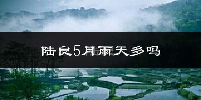 陆良5月雨天多吗?