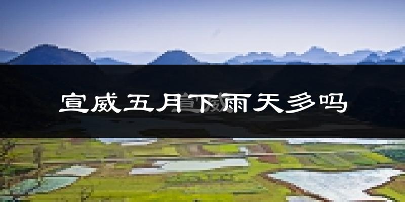 宣威五月下雨天多吗?宣威5月份降雨量多少?