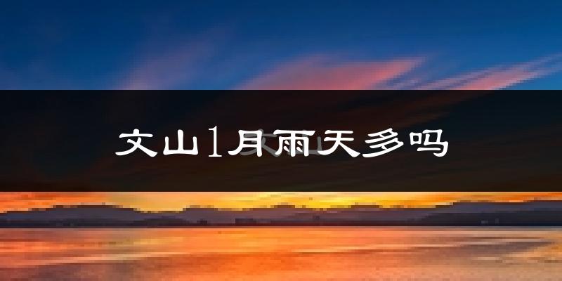文山1月雨天多吗?