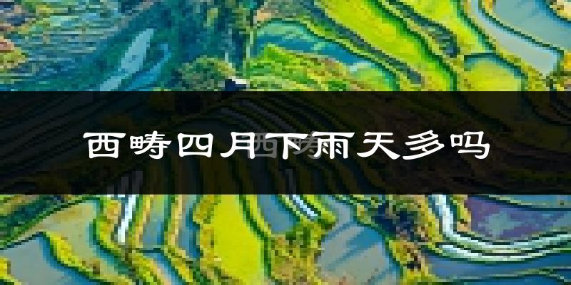 西畴四月下雨天多吗?西畴4月份降雨量多少?