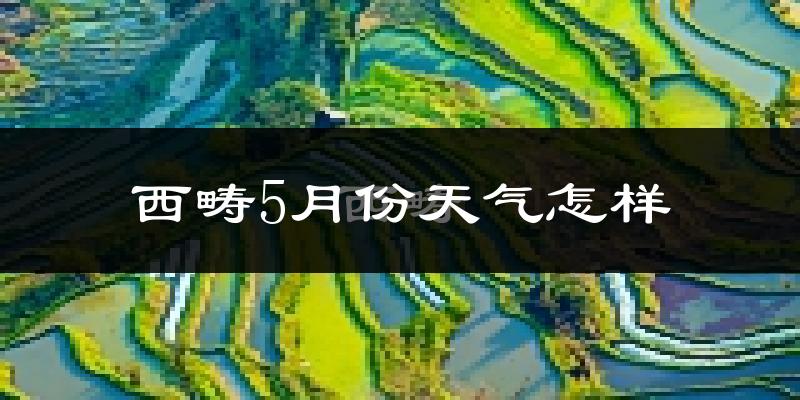 西畴县5月份天气如何?很热吗?