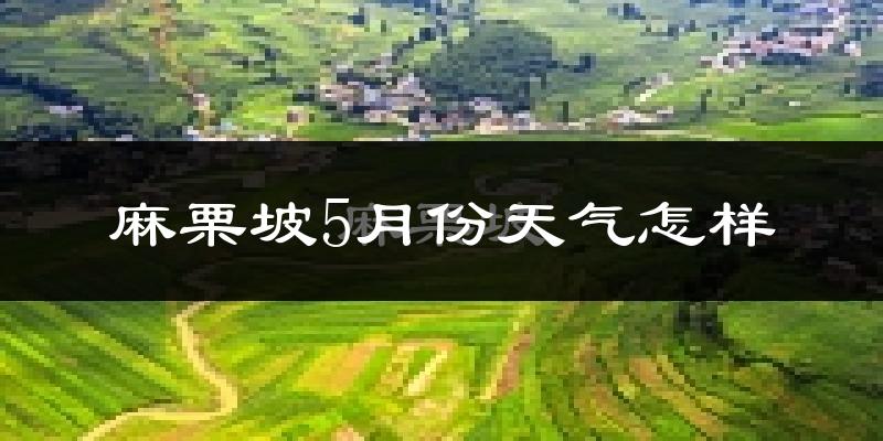 麻栗坡县5月天气如何?冷热情况分析