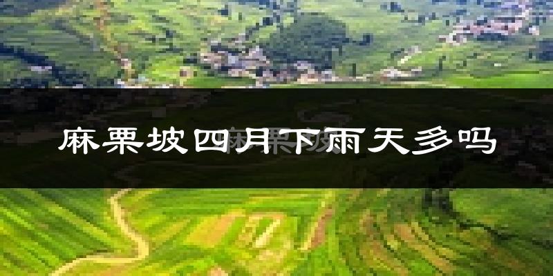 麻栗坡四月下雨天多吗?麻栗坡4月份降雨量多少?