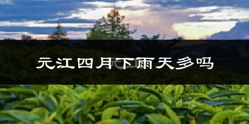元江四月下雨天多吗?元江4月份降雨量多少?
