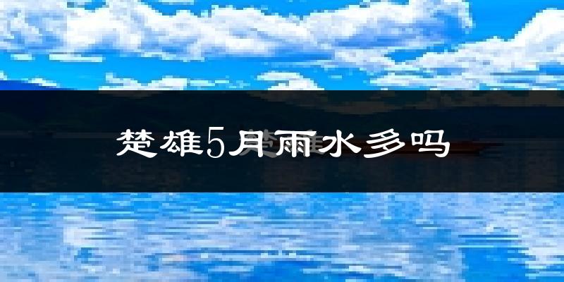 楚雄5月雨水多吗?