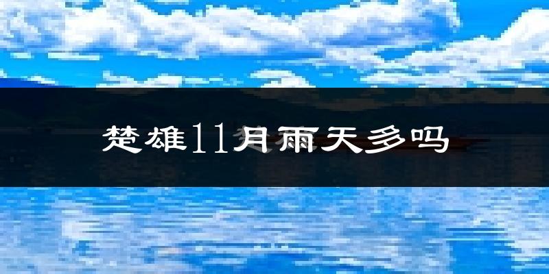 楚雄11月雨天多吗?