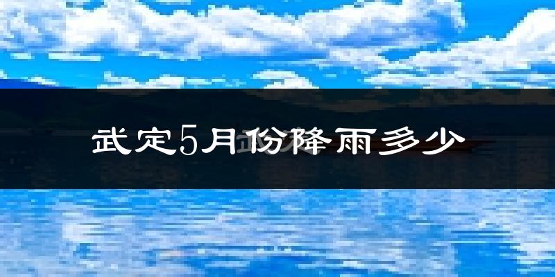 武定5月份降雨多少?