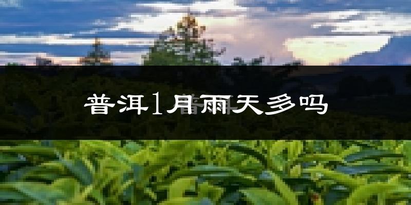 普洱1月雨天多吗?