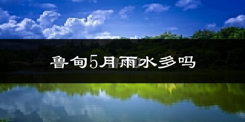 鲁甸5月雨水多吗?