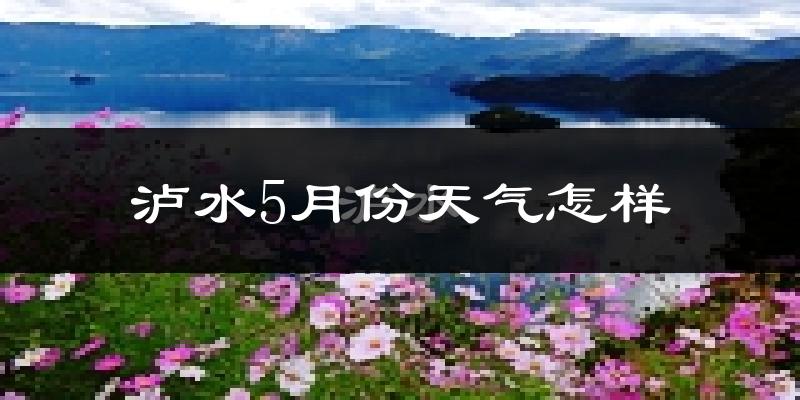 泸水市5月份天气如何?很热吗?