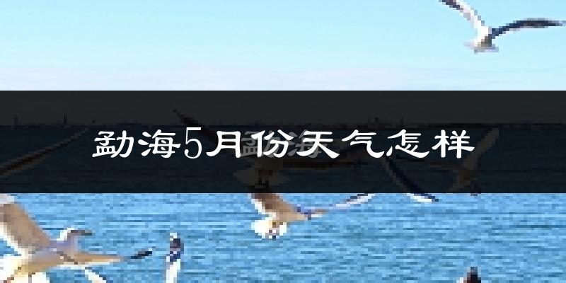 勐海县5月份天气如何?很热吗?