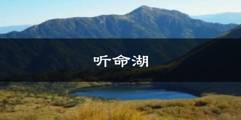 听命湖天气预报十五天