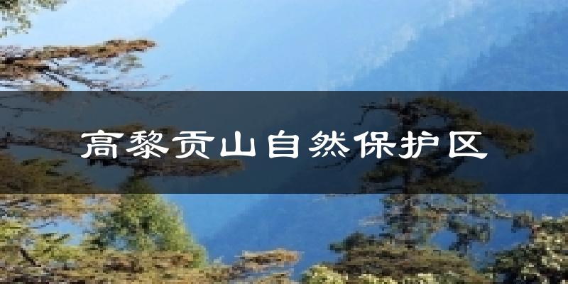 高黎贡山自然保护区天气预报十五天