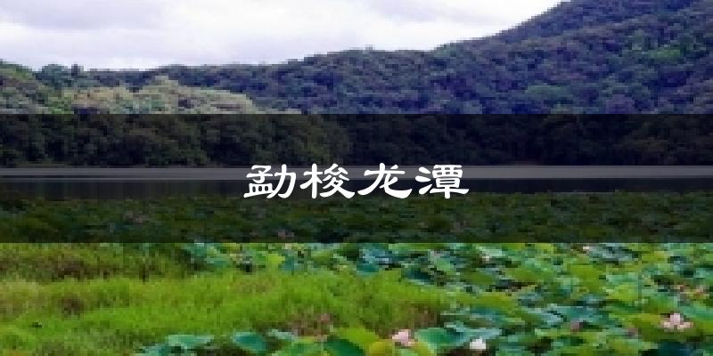 勐梭龙潭天气预报十五天