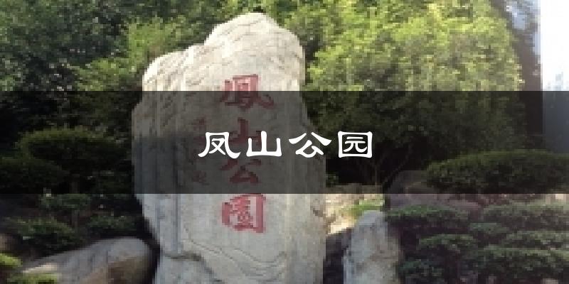 凤山公园天气预报十五天