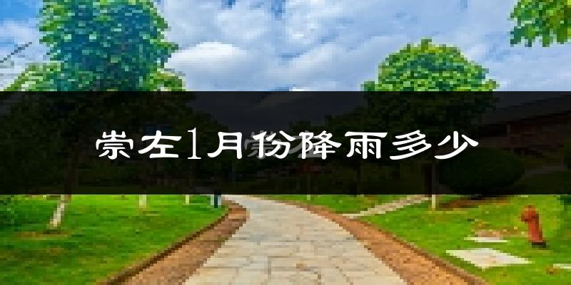 崇左1月份降雨多少?