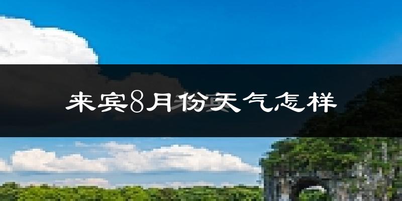 来宾市8月份天气如何?很热吗?