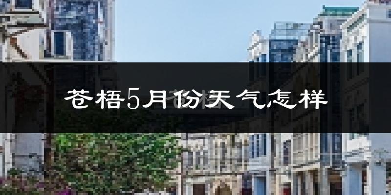 苍梧县5月份天气如何?很热吗?
