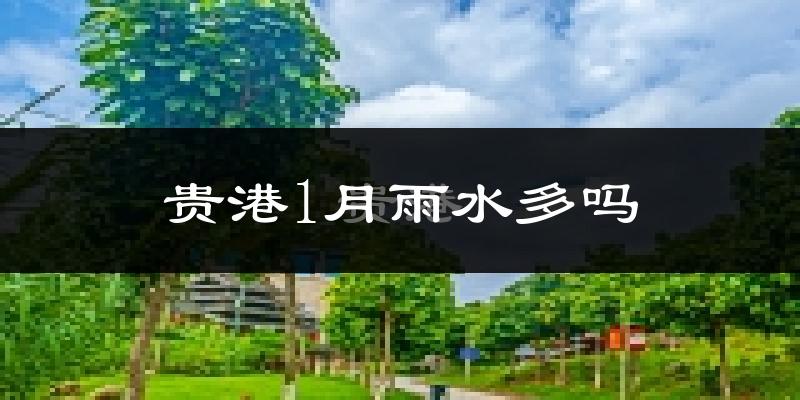贵港1月雨水多吗?