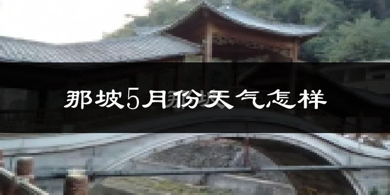 那坡县5月份天气如何?很热吗?
