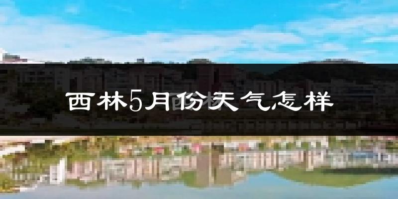 广西西林县5月份天气如何?很热吗?
