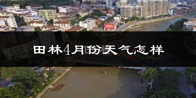 田林县4月份天气如何?很热吗?