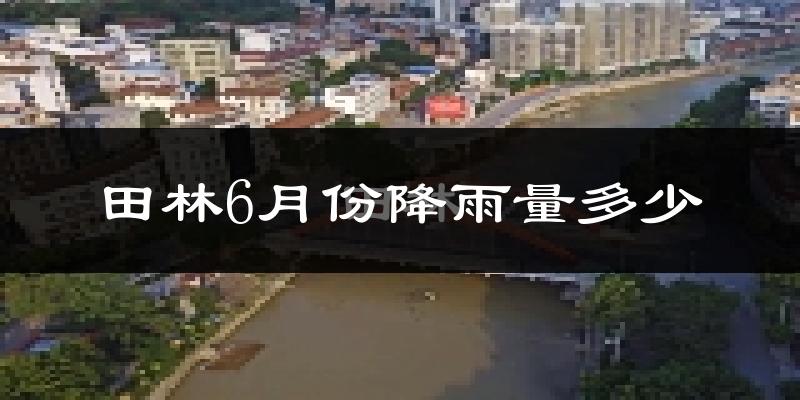 田林6月份降雨量多少?田林六月下雨多吗?