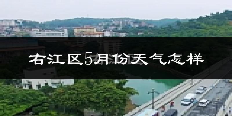 右江区5月份天气怎样?右江区五月冷不冷?