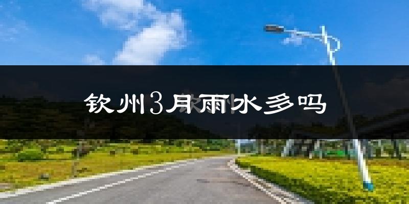 钦州3月雨水多吗?