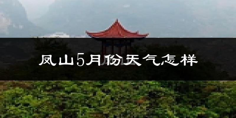 凤山县5月份天气如何?很冷吗?
