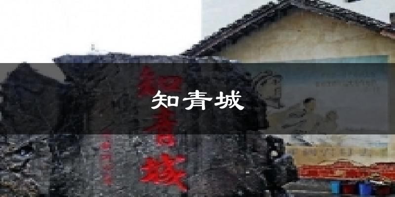 知青城天气预报十五天