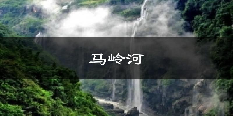 马岭河天气预报十五天