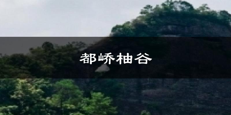 都峤柚谷天气预报十五天