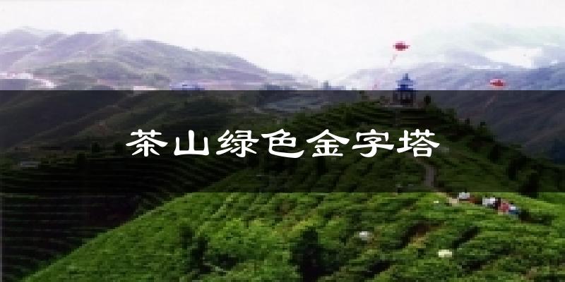 茶山绿色金字塔天气预报十五天