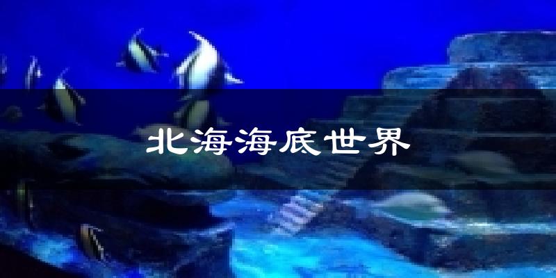 北海海底世界天气预报十五天