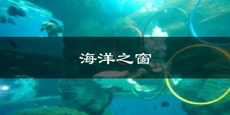 海洋之窗天气预报十五天