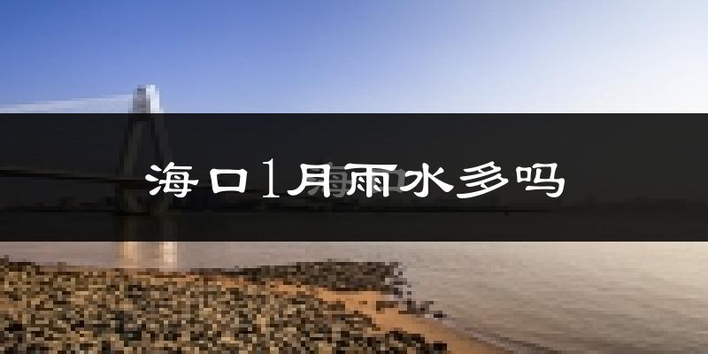 海口1月雨水多吗?