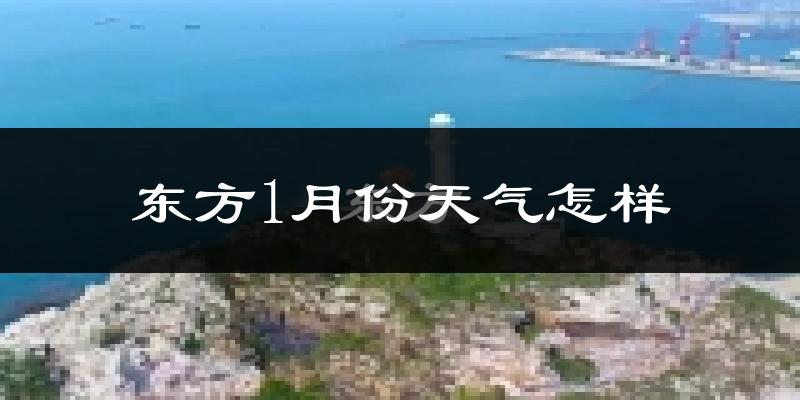 东方市1月份天气如何?冷吗?