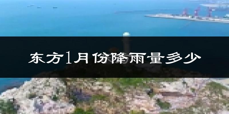 东方1月份降雨量多少?东方一月下雨多吗?
