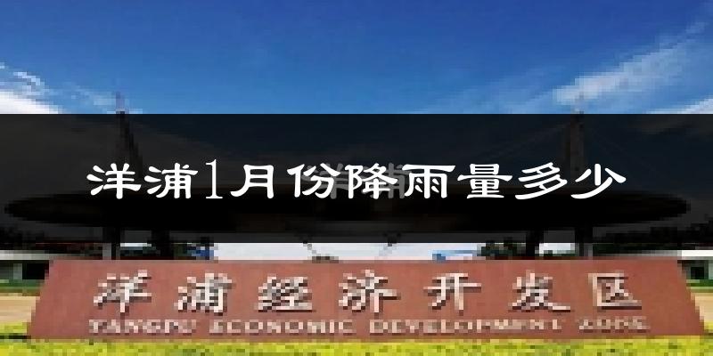 洋浦1月份降雨量多少?洋浦一月下雨多吗?