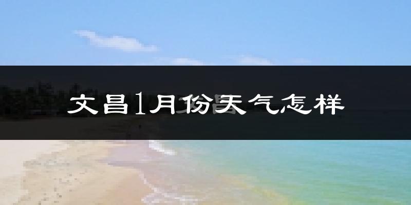 文昌市1月份天气如何?冷吗?