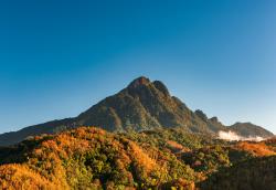 五指山天气