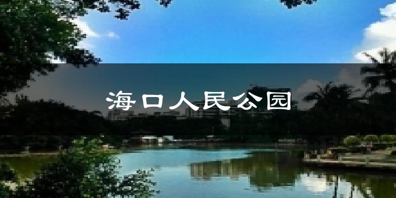 海口人民公园天气预报十五天