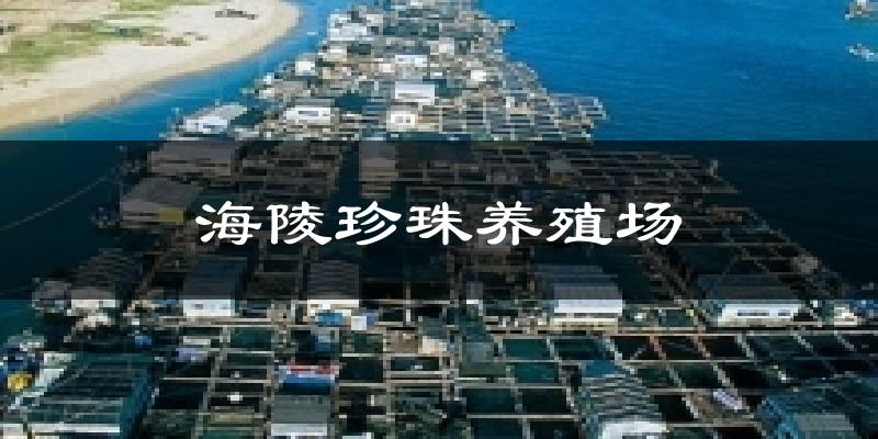 海陵珍珠养殖场天气预报十五天