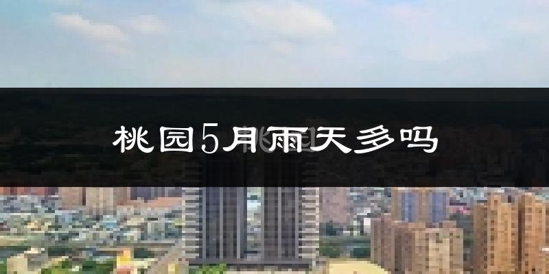 桃园5月雨天多吗?