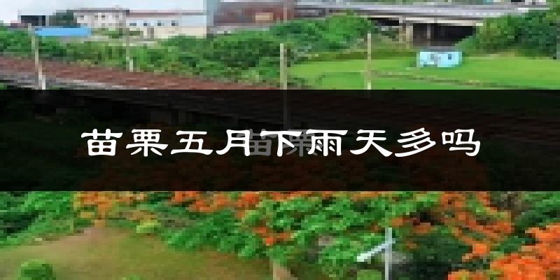 苗栗五月下雨天多吗?苗栗5月份降雨量多少?